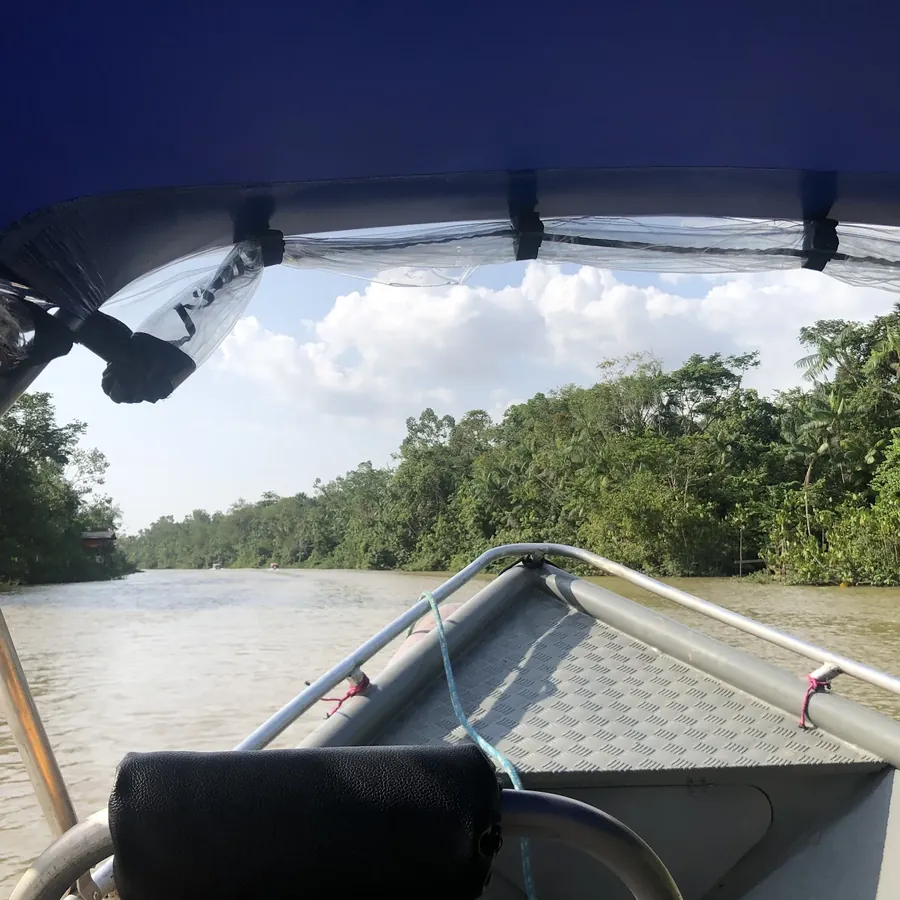 Vista da proa do barco navegando por um igarapé estreito no Combu